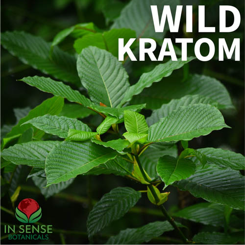 Wild Kratom category